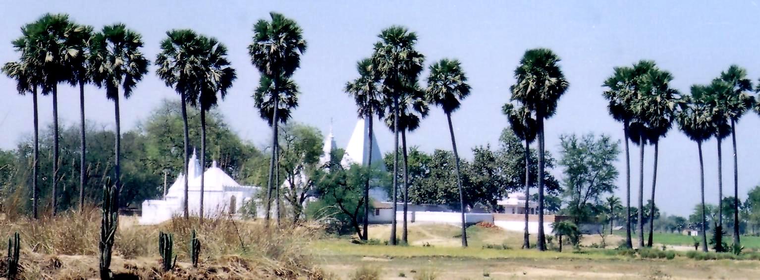 hindu-temples-panorama