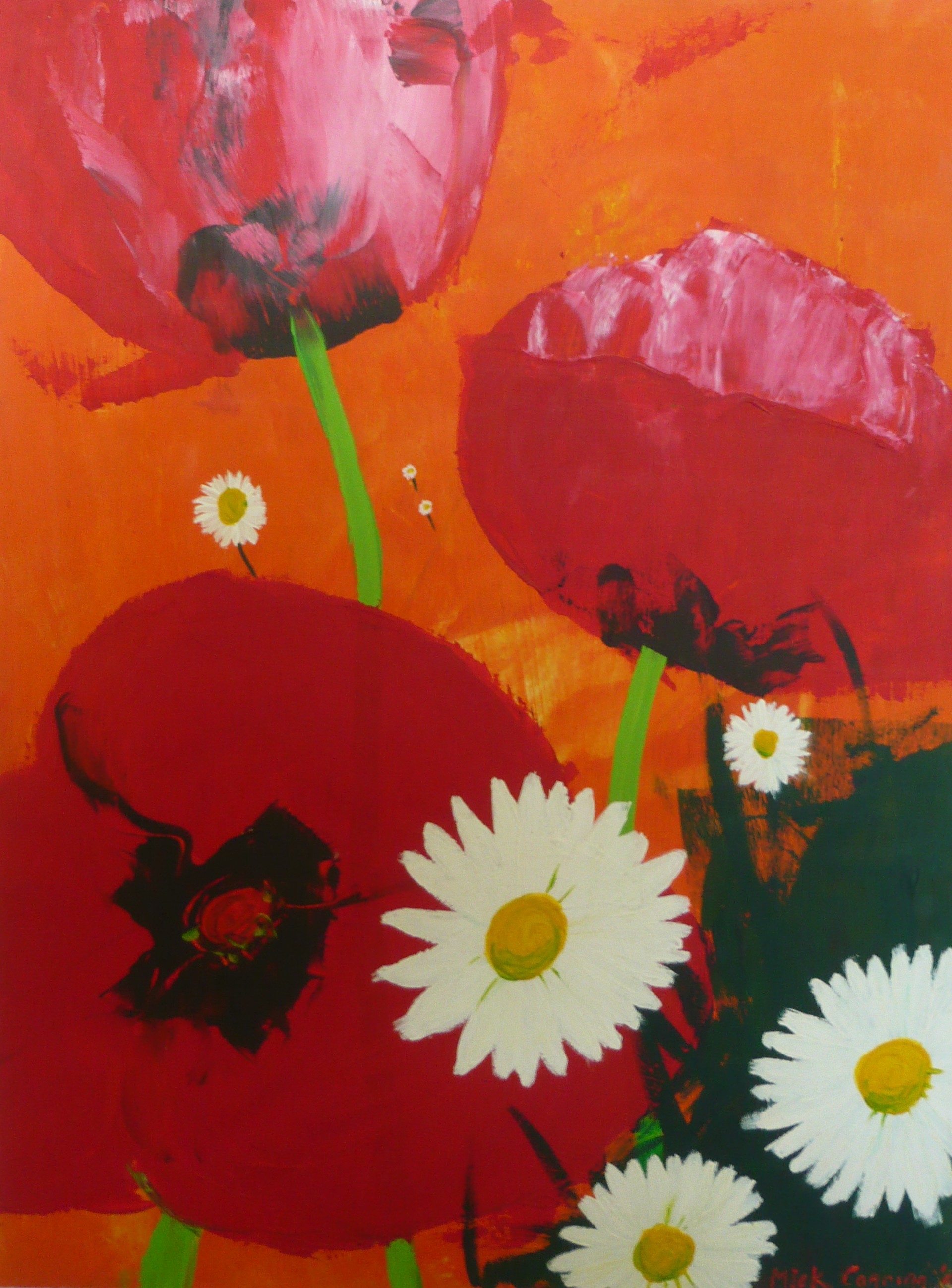 poppies and daisies