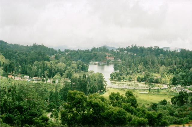 kodai lake