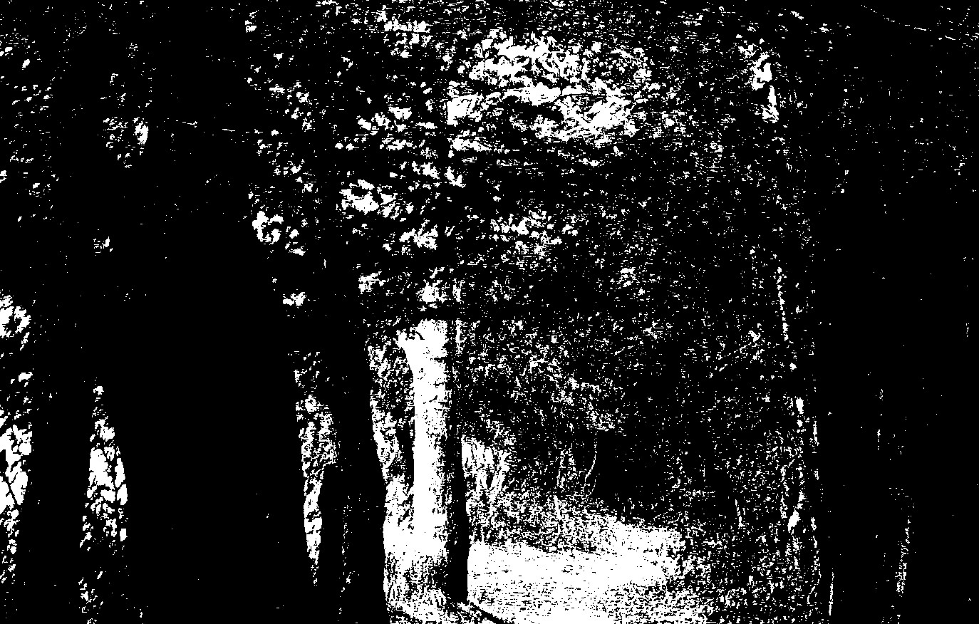 Untitled-Grayscale-02