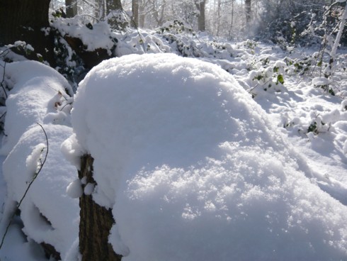 some things are hidden