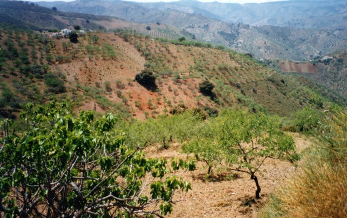 img20190318_12092043