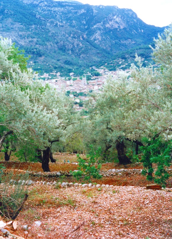 img20190320_11311220