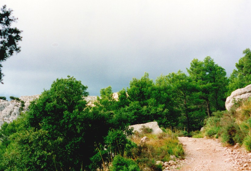 img20190320_11332135