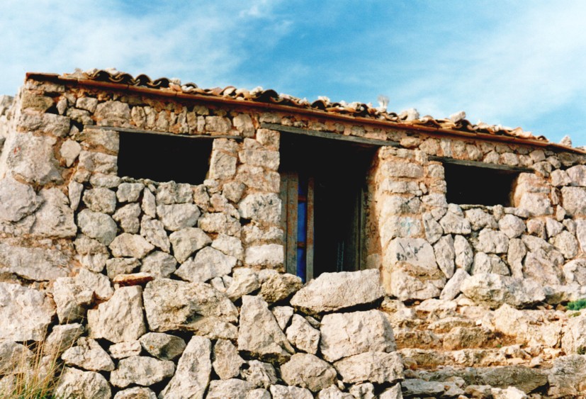 img20190320_11394102