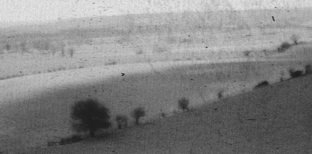 Untitled-Grayscale-03